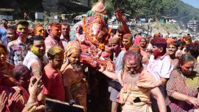 ganpati#visarjan#kullu#