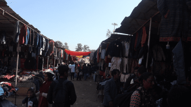 kullu dussehra festival business down