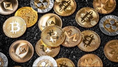 Cryptocurrency froud kullu bhuntar