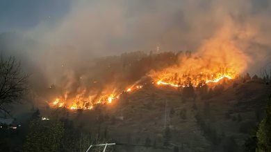 FOREST FIRE KULLU