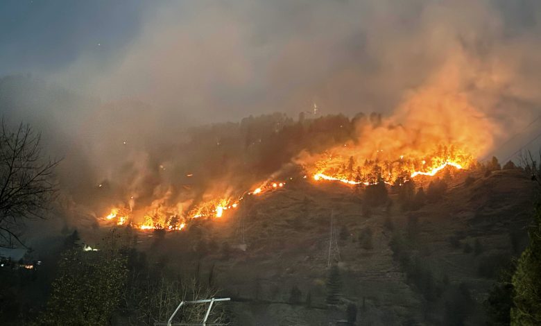 FOREST FIRE KULLU