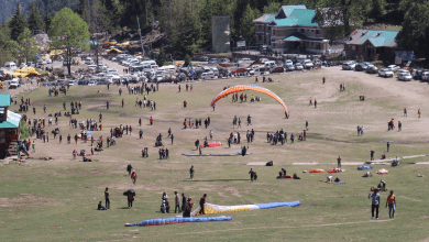 ECO FRIEDNLY MARKET SOLANGNALLA DHUNDHI MANALI