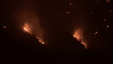 NEWS KULLU TULSI FOREST FIRE PEOPLE DEAD KULLU VISUAL