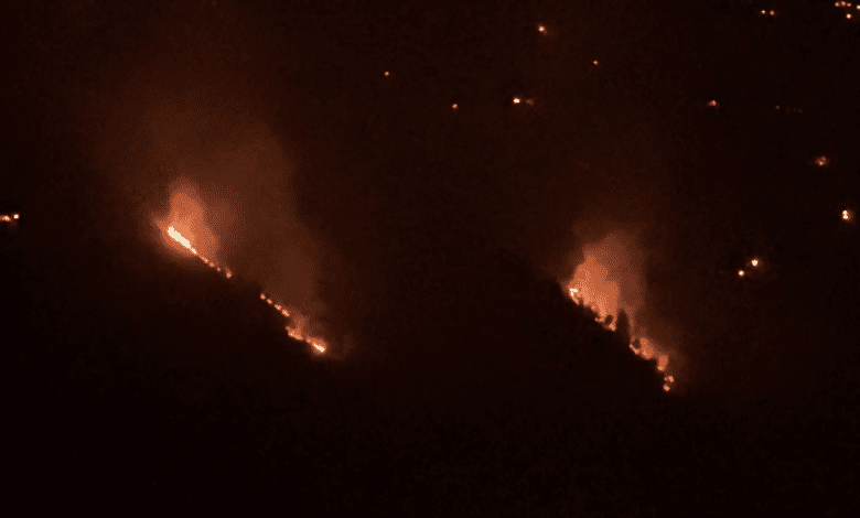 NEWS KULLU TULSI FOREST FIRE PEOPLE DEAD KULLU VISUAL