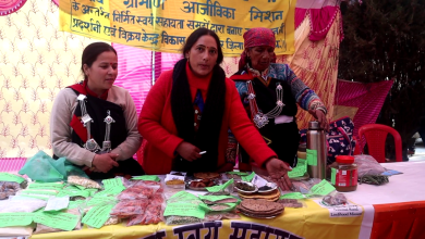 NEWS KULLU TULSI BANJAR WOMEN PRESER CEREAL KULLU SCRIPT