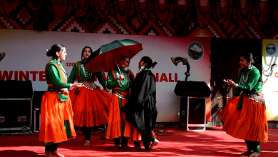 wintar carnival manali day 3 cultural