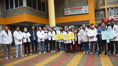 doctors strike kullu