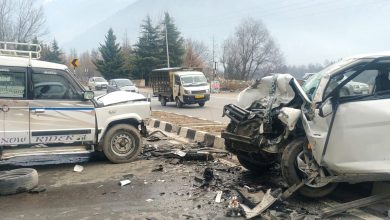 chandigarh manali national hiway road accident 1 women dead kullu