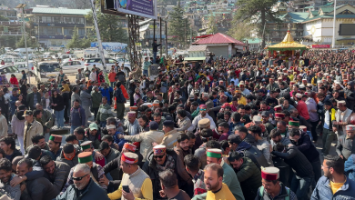 BASANT UTSAV KULLU CELEBRATION