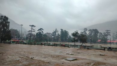 weather update kullu 2 march