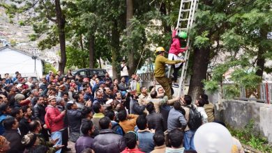 News Kullu Paraglider crash due to strong storm at Dhalpur paragliding site from Kullu district headquarters Peez. Tourist woman and pilot narrowly escape acciden visual