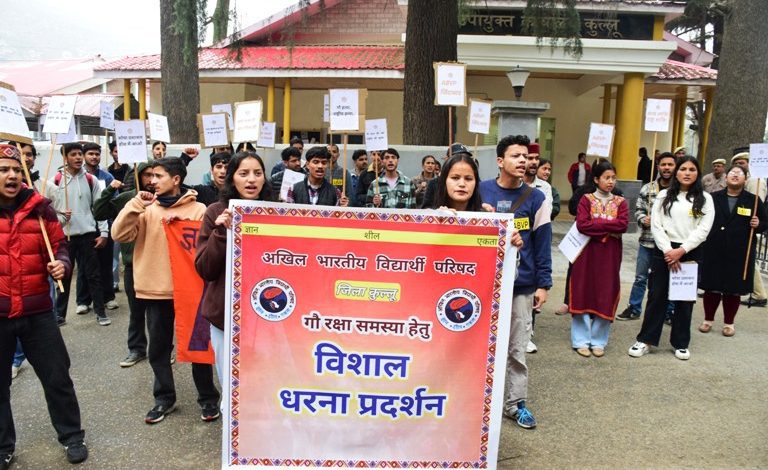 ABVP PROTEST KULLU