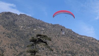 Pease paragliding becomes first choice for tourists in Kullu