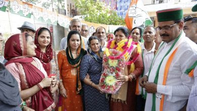 If Rs 100 will be spent on the development of Nadaun then I will get Rs 101 installed in Dehra: Kamlesh