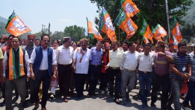 NEWS KULLU TULSI BJP CANDIDATE KANGNA RANAUT WINING CELEBRATION WORKAR KULLU VISUAL