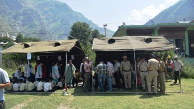 mock drill kullu