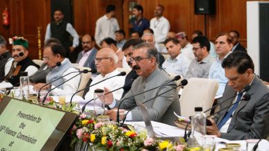 Chief Minister urges Finance Commission to recommend generous financial assistance to Himachal