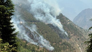 Severe fire in forests in Mandi district of Himachal Pradesh
