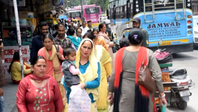 public demand kullu