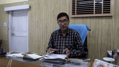 millet seeds vailable kullu