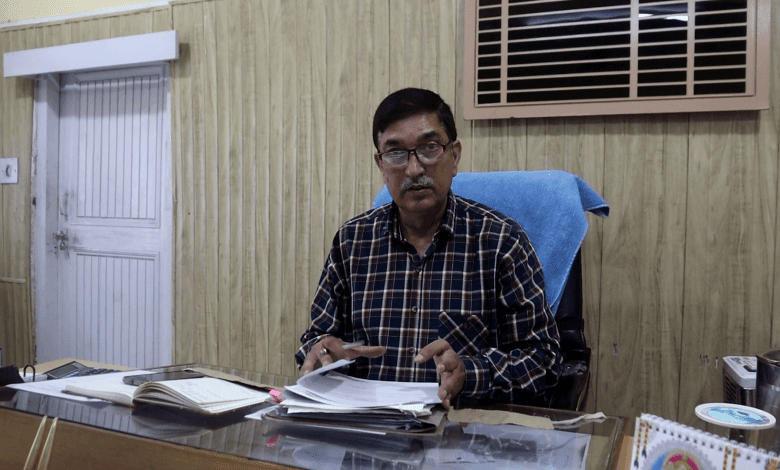 millet seeds vailable kullu