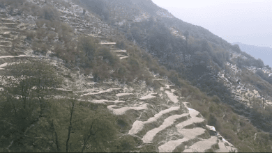 NEWS KULLU RAIN HAILSTOM KULLU DISTRACT VISUAL