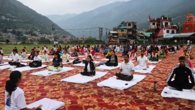 world yog divas celebration kullu