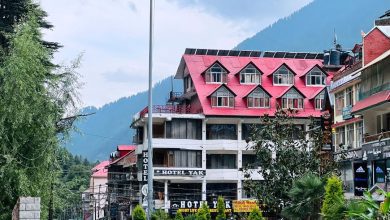 High mast lights in Mall Road, Manali and city closed for 6 months - Govind Singh Thakur