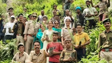 The aim of keeping the earth green through Van Mahotsav – Parmanand.