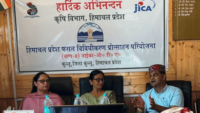 Project Director Dr. Sunil Chauhan made a joint visit to the sub-projects running under Himachal Pradesh Crop Diversification Promotion Project.