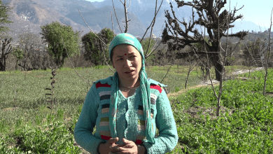Women doing natural organic farming in rural areas of Kullu district are strengthening the economy.