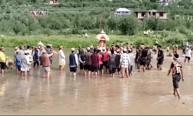 Paddy plantation in Banogi in honor of Pandir Rishi
