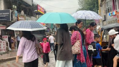 People got great relief from the heat due to sudden rain in Kullu district.