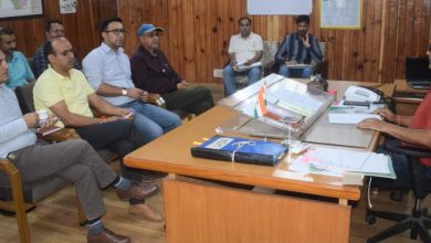 Glimpses of various states and foreign cultures across the country will be seen in the International Dussehra festival - Ashwani Kumar