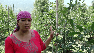 Female gardener from Naggar block, Promila Sharma, has been doing natural farming for 2 years and is financially strong.