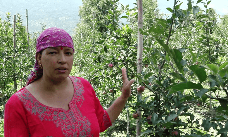 Female gardener from Naggar block, Promila Sharma, has been doing natural farming for 2 years and is financially strong.