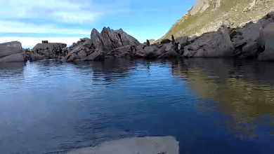 Complete ban on royal bath on 20th day in Dinosaur Holy Lake - Ram Lal Thakur