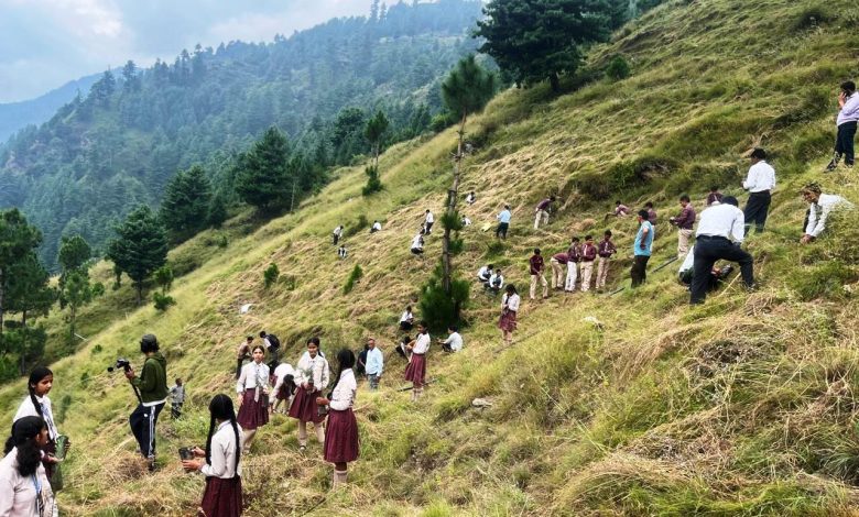 School students and bank employees gave the message of environmental protection by planting saplings in Peez Panchayat of Lagghati.