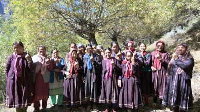 The by-election for one post of Zilla Parishad Member (Sissu Bard No.-6) in Lahaul was conducted peacefully. Voting was 53 percent