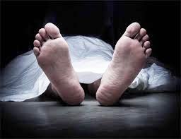 Foreigner dies in Manali's Shanag