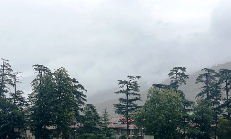 Heavy rains in Kullu district affected the work of farmers and gardeners; they are facing financial losses.