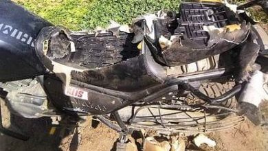 Bear tore bike seat in Rachel's Gamb