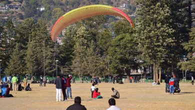 Paragliding started after 4 and a half months at Dhalpur paragliding site from Pej. Big relief to tourism businessmen.