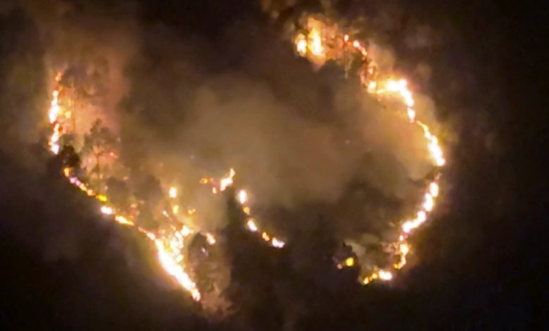 Property worth Rs 16 lakh destroyed at 12 different places due to arson due to Diwali fireworks in Kullu