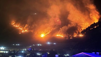 Fierce fire in the forest of Bada Bhuin Panchayat of Kullu district, forest wealth worth lakhs of rupees reduced to ashes.