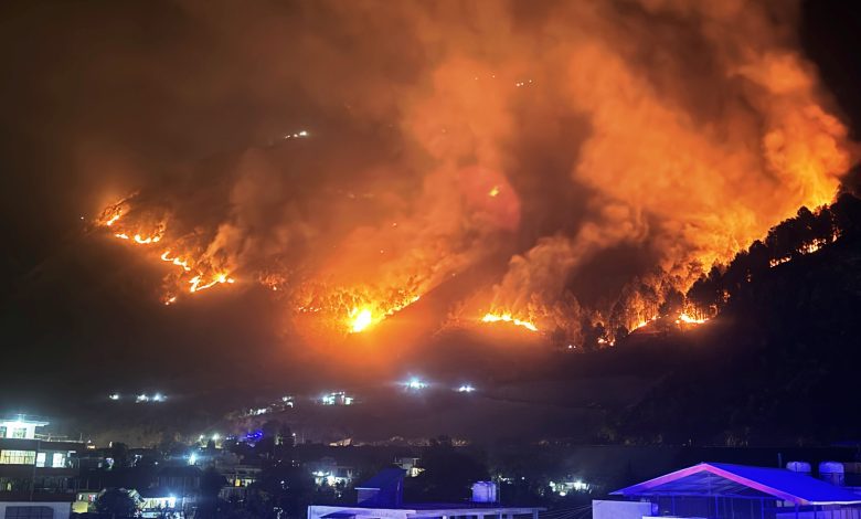 Fierce fire in the forest of Bada Bhuin Panchayat of Kullu district, forest wealth worth lakhs of rupees reduced to ashes.