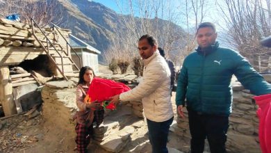 Instructions were given to take necessary steps to control the population of stray dogs.