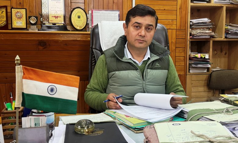 Forest fire in Kullu forest division caused huge damage to trees and plants on 668 acres of forest land - Angel Chauhan.